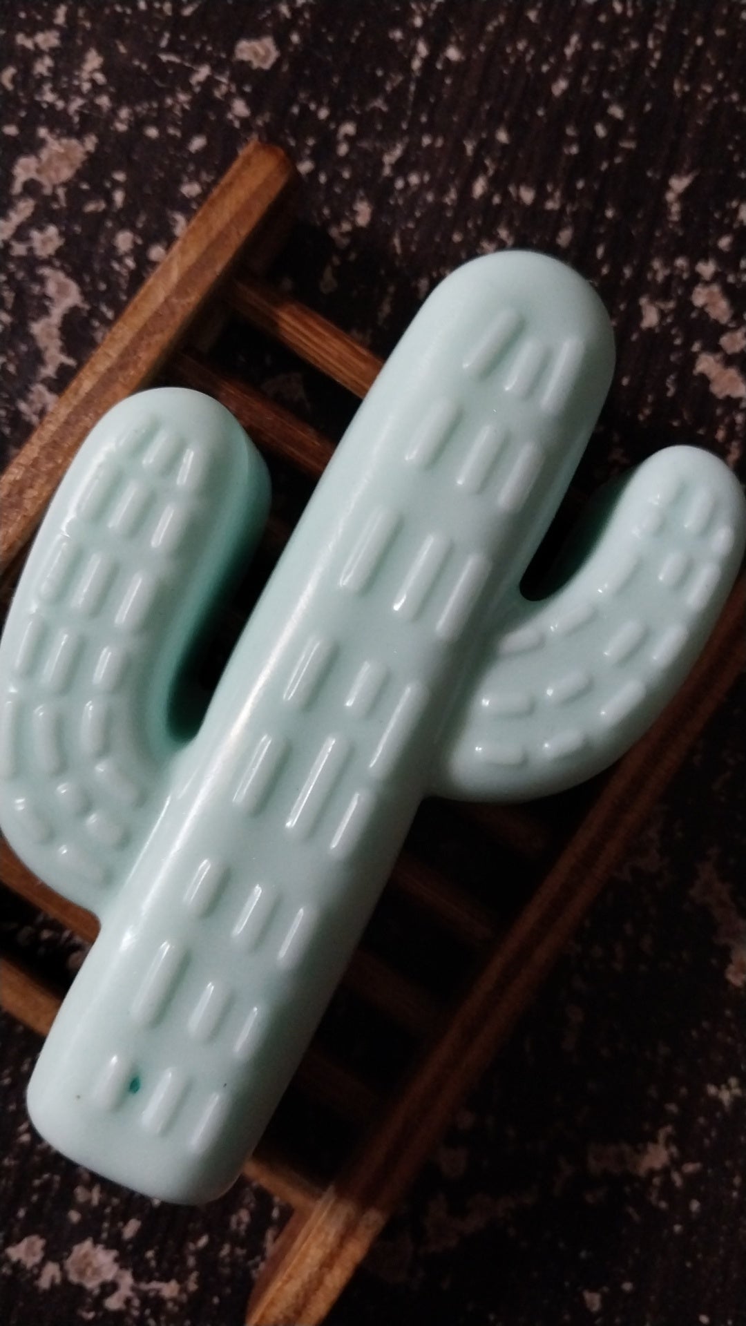 Goats Milk Cactus Hand Crafted Soap