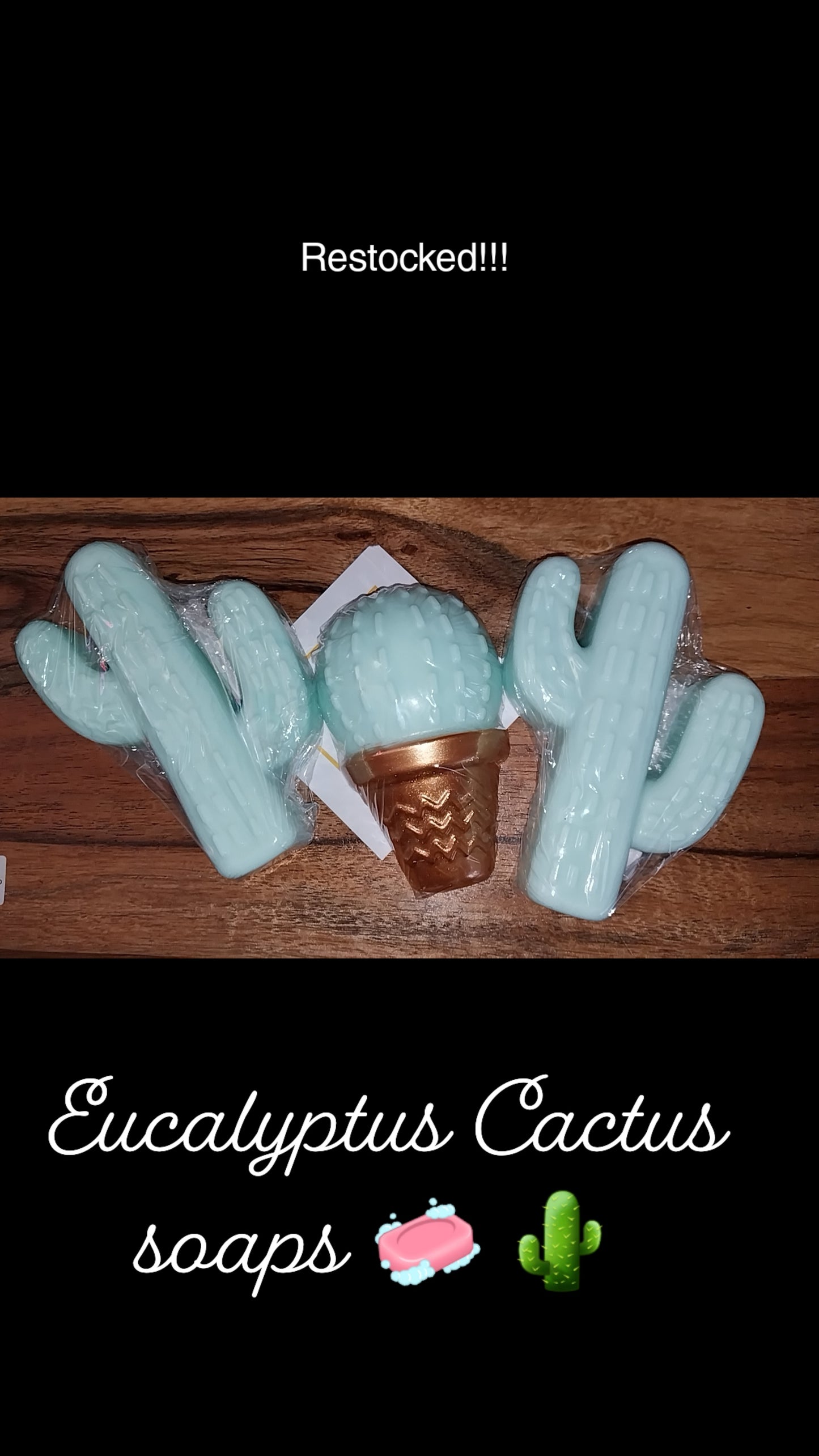 Goats Milk Cactus Hand Crafted Soap