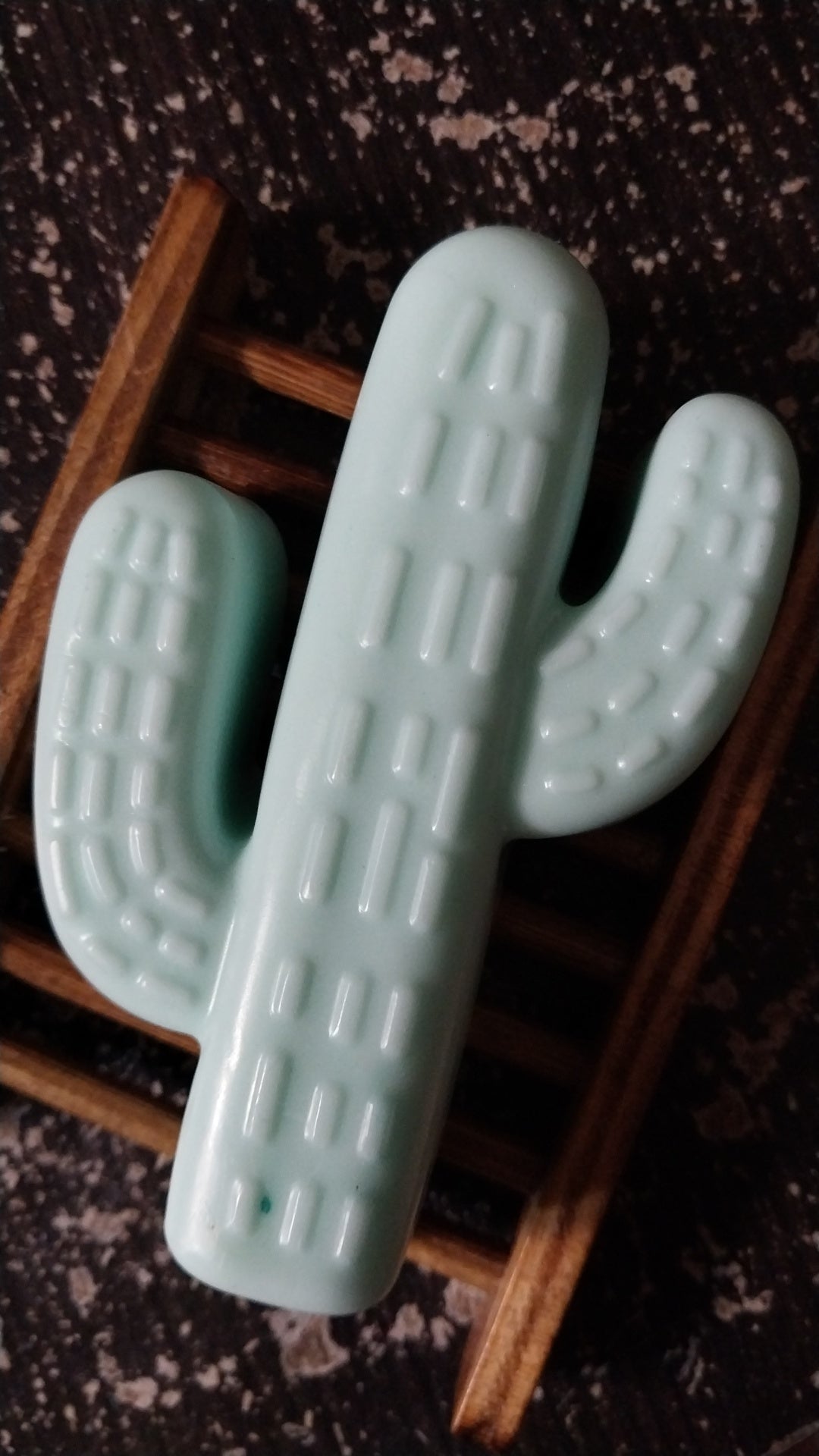 Goats Milk Cactus Hand Crafted Soap